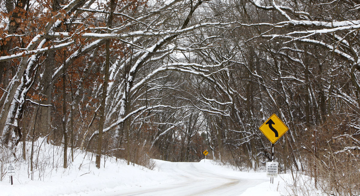 Groundhog Day Blizzard 2011